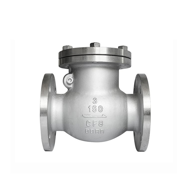 Stainless Steel Check Valve